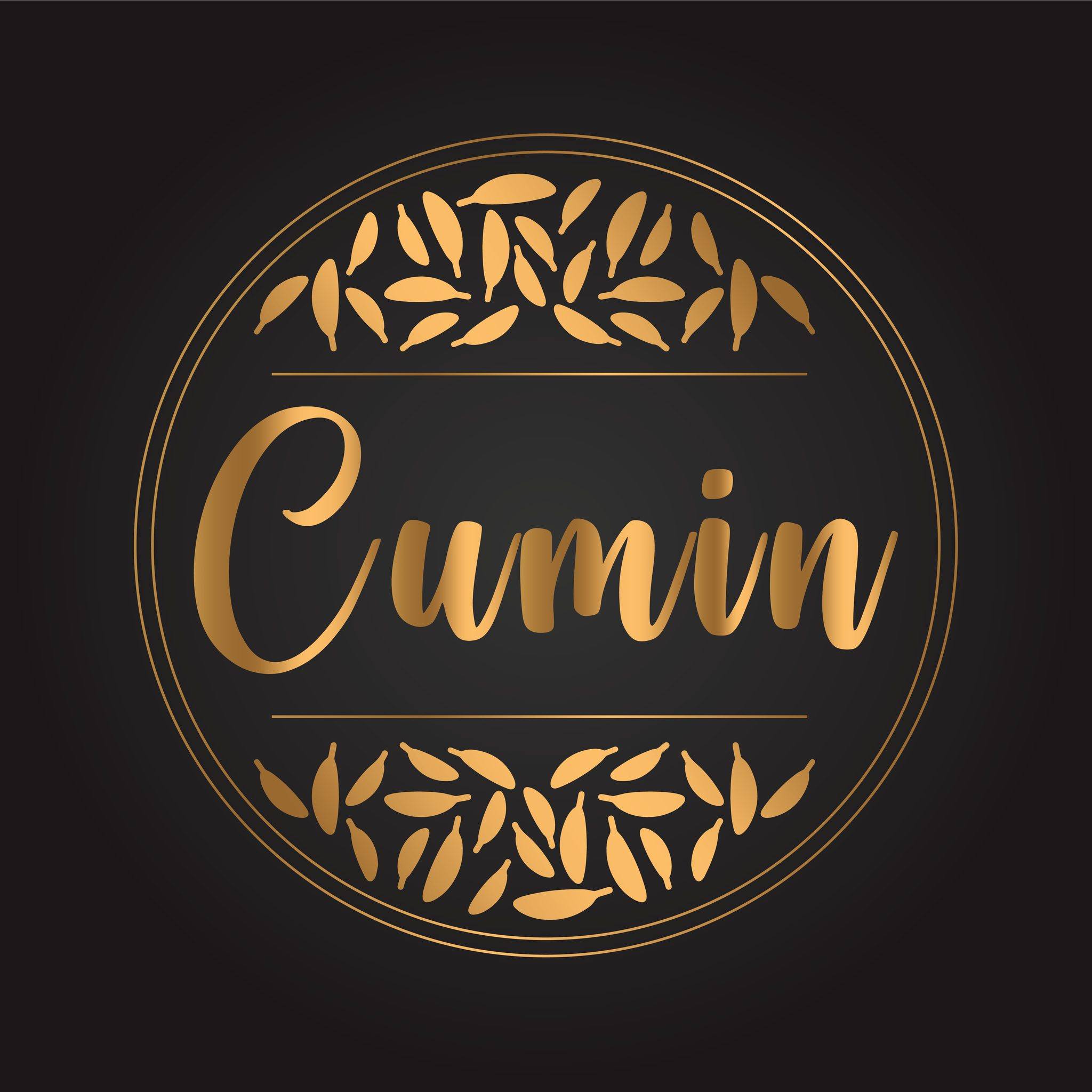 Cumin Multi Cuisin Restaurent